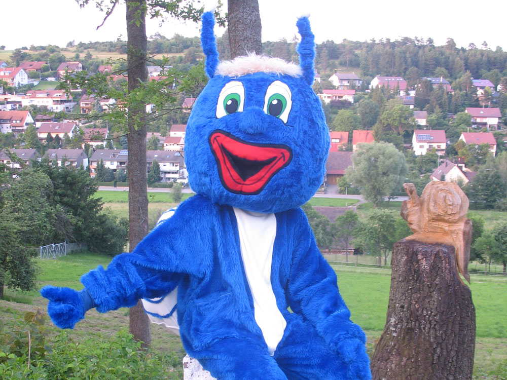 FSV Deufringen Anlage